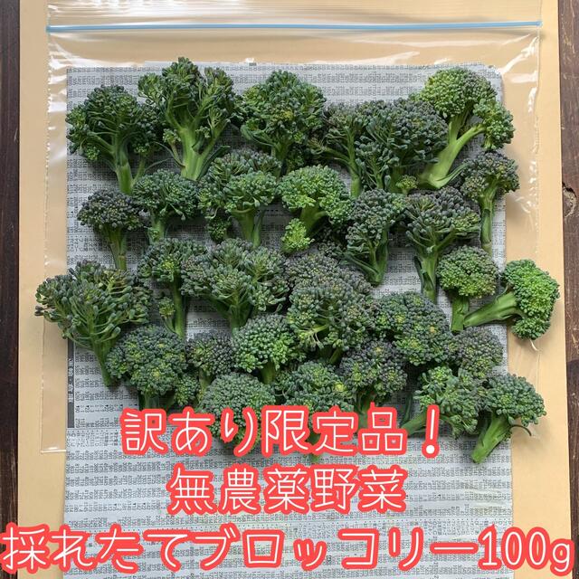 訳あり限定品！無農薬野菜＊採れたてブロッコリー約100g＊ネコポス＊ひと口サイズ 食品/飲料/酒の食品(野菜)の商品写真