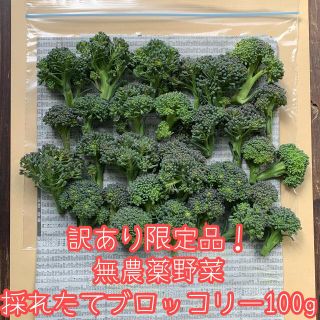 訳あり限定品！無農薬野菜＊採れたてブロッコリー約100g＊ネコポス＊ひと口サイズ(野菜)