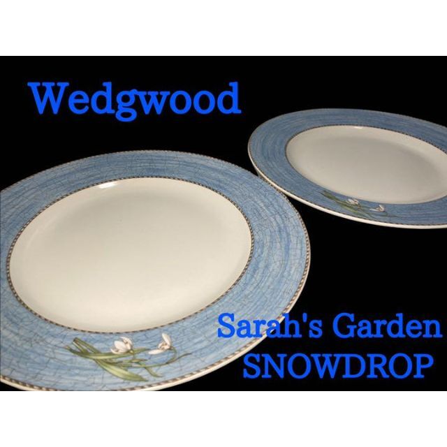 廃盤】Wedgwood Sarah's Garden SNOWDROP 2枚 超激安 9429円 alala.ci