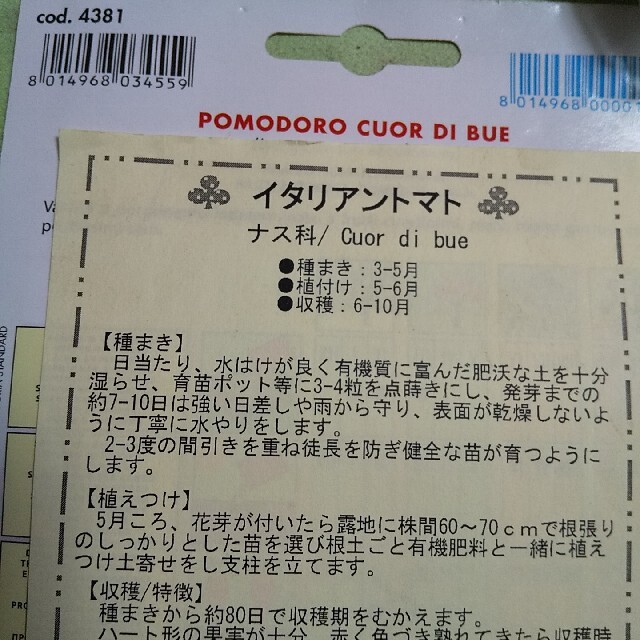 珍しいイタリアントマトの種10粒ずつ 大・中・ミニの3種セット ハンドメイドのフラワー/ガーデン(その他)の商品写真