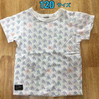 ブランシェス(Branshes)の【ブランシェス】RADCHAP キッズ　Tシャツ　120 サメ柄　ホワイト(Tシャツ/カットソー)