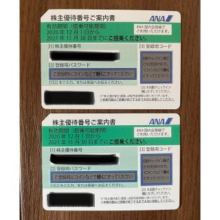 エーエヌエー(ゼンニッポンクウユ)(ANA(全日本空輸))のANA 株主優待券 2022/5/31まで 2枚(その他)