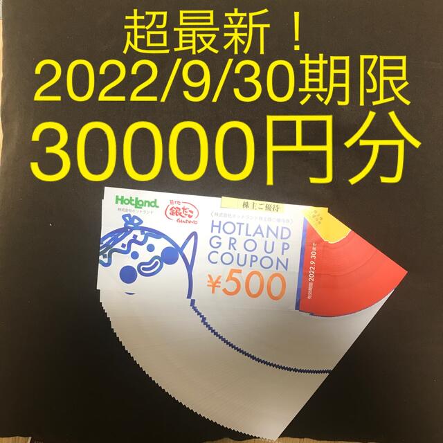 ファッションデザイナー ホットランド株主優待券 30000円分 買取 比較 -tata-parts.com