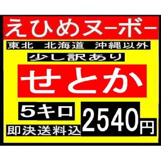 S2 えひめヌーボーの　少し訳あり せとか　5キロ(フルーツ)
