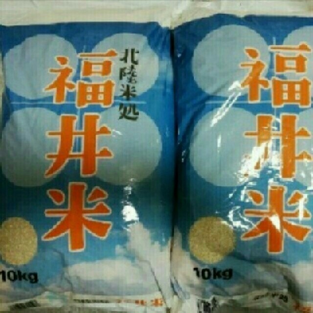 お米20kg　米/穀物