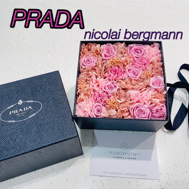 PRADA × Nicolai Bergmann プリザーブドフラワー