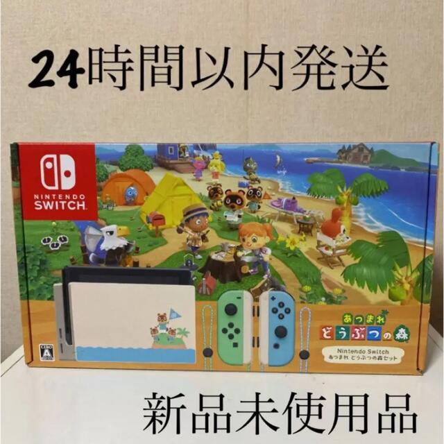 Nintendo Switchあつまれどうぶつの森セット