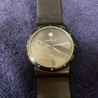 スカーゲン(SKAGEN)のスカーゲン　ジャンク品(腕時計(アナログ))