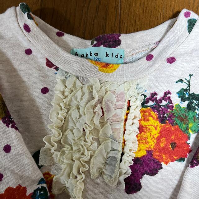 hakka kids(ハッカキッズ)の ハッカキッズ　120 キッズ/ベビー/マタニティのキッズ服女の子用(90cm~)(Tシャツ/カットソー)の商品写真