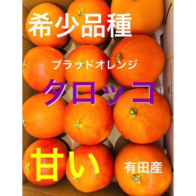 希少品種　ブラッドオレンジ(タロッコ)  家庭用　レア　有田産　みかん　果物 食品/飲料/酒の食品(フルーツ)の商品写真