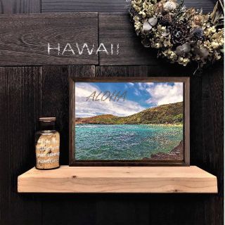 【送料無料】南国の風景☆HAWAII No.743 　　フレーム付　 A4サイズ(アート/写真)