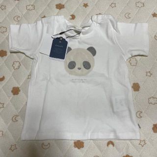 cottoli パンダ　Tシャツ(Tシャツ/カットソー)