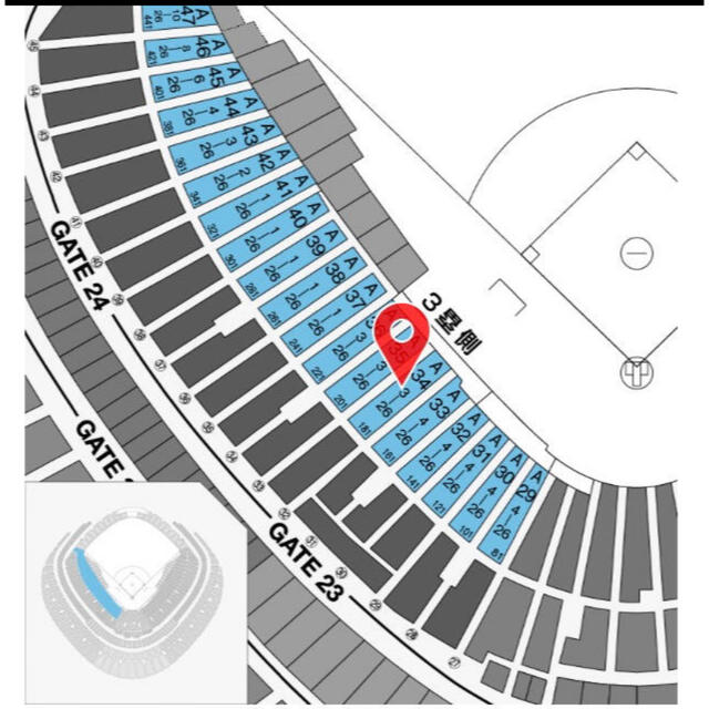 4/2 巨人vs阪神 東京ドーム オーロラシートBペア 3塁側1階 - スポーツ