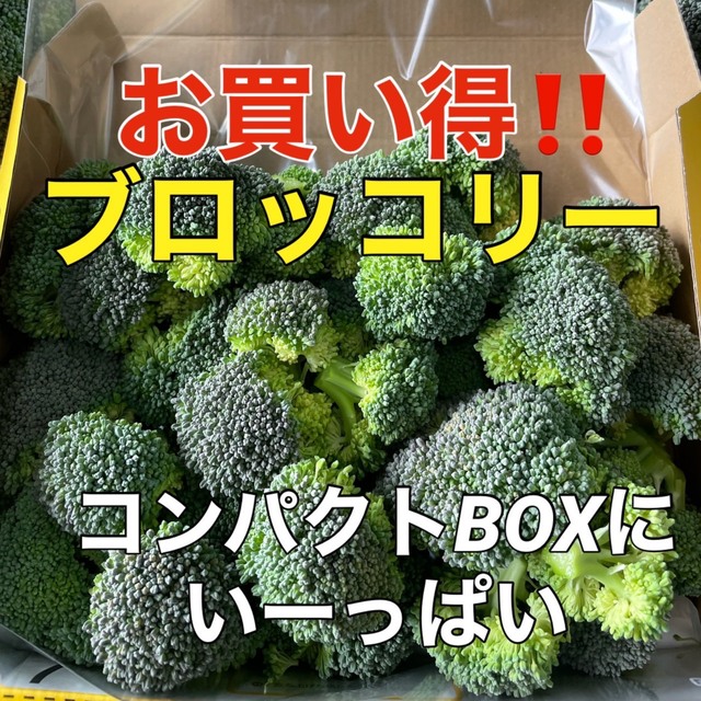 採れたて新鮮‼️丹波産ブロッコリーをコンパクトBOXでお届け❗️ 食品/飲料/酒の食品(野菜)の商品写真