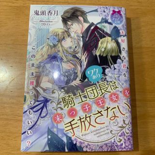 ワケあり騎士団長は末っ子王女を手放さない(文学/小説)