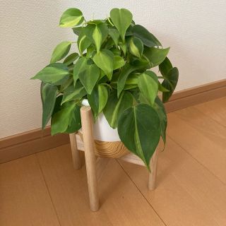 【ま様専用】フラワースタンド　1セット(その他)