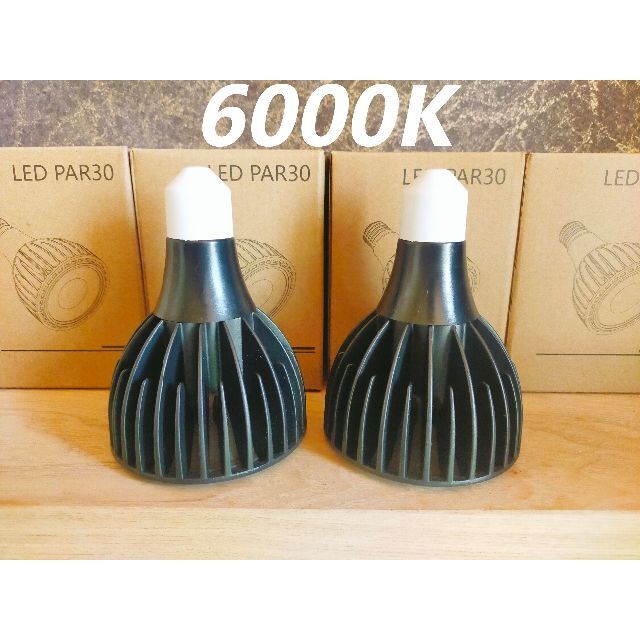 植物育成ライト 30W 6000K 2個 黒色 太陽光 フルスペクトルLED