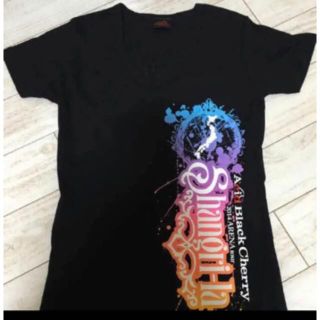 【レア】ABC アシッドブラックチェリー Tシャツ&タオル セット(ミュージシャン)