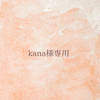 ✱kana様専用✱ ドライフラワー 横長スワッグ 6点(ドライフラワー)