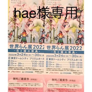 hae様専用　チケット1枚(その他)