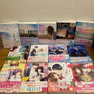 野いちご文庫　まとめ売り(文学/小説)