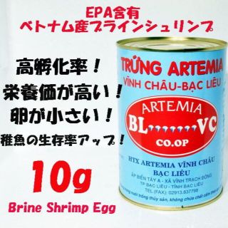 グッピー　メダカのエサ　EPA含有 　ベトナム産　ブラインシュリンプ 10g(アクアリウム)