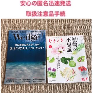 【2022年3月号・最新号】wedge  ウェッジ ＋ひととき　植物園　花　桜(アート/エンタメ/ホビー)