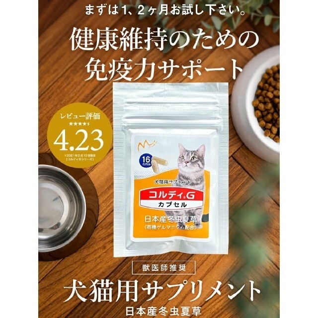 専用お試し用猫用サプリコルディG日本産冬虫夏草16カプセル!賞味期限2024.9 その他のペット用品(ペットフード)の商品写真