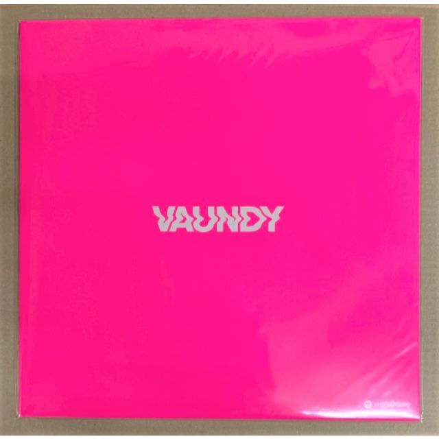 エンタメ/ホビーVaundy