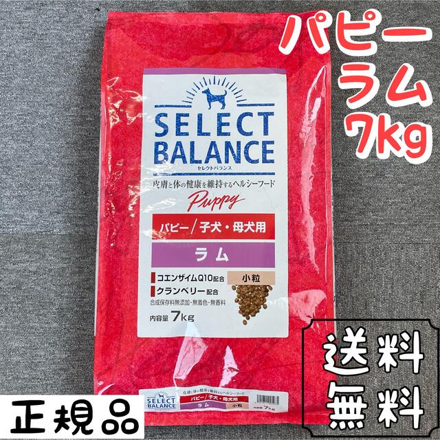 セレクトバランス ラム 小粒 7kg パピー ドックフード ペットフード ...