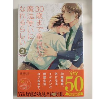 ３０歳まで童貞だと魔法使いになれるらしい ３(ボーイズラブ(BL))