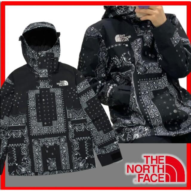 THE NORTH FACE - 韓国限定、新品ノースフェイス ペイズリーバンダナ柄