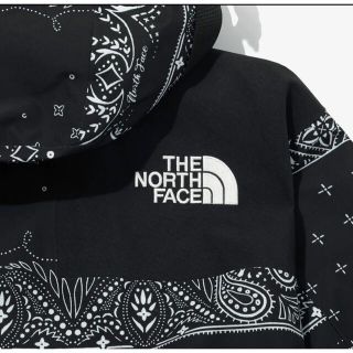 THE NORTH FACE - 韓国限定、新品ノースフェイス ペイズリーバンダナ柄