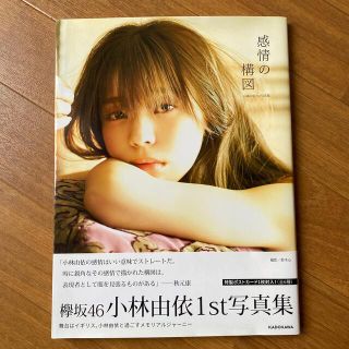 感情の構図 小林由依１ｓｔ写真集(その他)