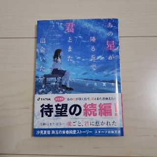 あの星が降る丘で、君とまた出会いたい。(その他)