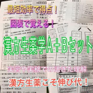 薬剤師国家試験、CBT、定期試験対策シリーズ【漢方生薬A +B】まとめセット(資格/検定)