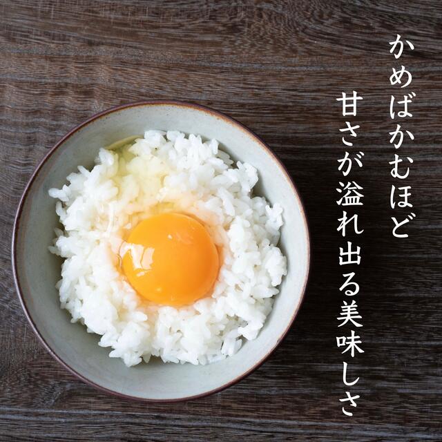 福岡県産品種新米☆ヒノヒカリ 玄米 25kg 1等米 厳選米 令和3年 福岡県産 お米