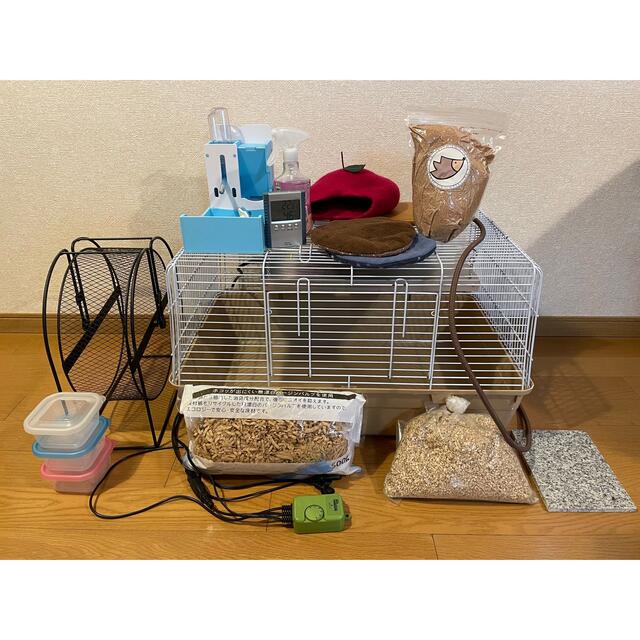 ハリネズミ 飼育セット 送料込み おまけつき 半額SALE☆ noxcapital.de