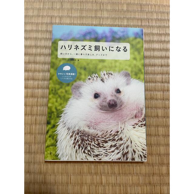 ハリネズミ　はじめて飼育セット　ゲージ