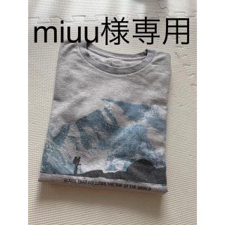 ザノースフェイス(THE NORTH FACE)のmiuu様専用　　　ノースフェイス　半袖　山　登山　アウトドア　レディース　S(Tシャツ(半袖/袖なし))