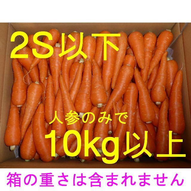 徳島産　ミニサイズ（2S以下）人参「彩誉」10kg以上　ハウス栽培　ジュース用 食品/飲料/酒の食品(野菜)の商品写真