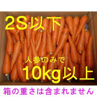 徳島産　ミニサイズ（2S以下）人参「彩誉」10kg以上　ハウス栽培　ジュース用(野菜)