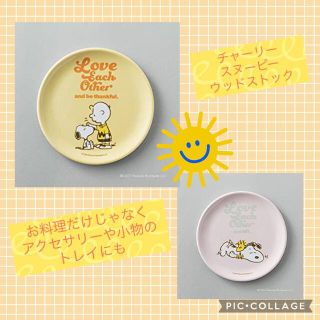 ピーナッツ(PEANUTS)のESSE エッセ 2022年 3月号 付録スヌーピー メラミンプレート2枚セット(食器)