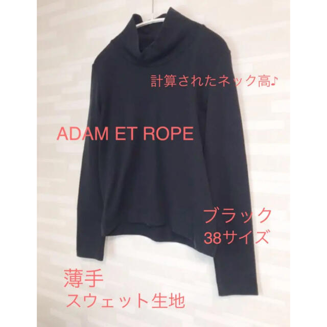 Adam et Rope'(アダムエロぺ)のハイネック高が絶妙で1枚で決まる❣️スウェット生地で着心地抜群 レディースのトップス(トレーナー/スウェット)の商品写真