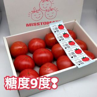 専用)高糖度★フルーツトマト【ミストマト】珊瑚樹トマトセット(野菜)