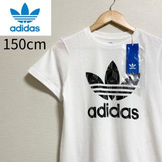 オリジナル(Original)の新品・タグ付き◎adidas アディダスオリジナルス トレフォイル Tシャツ(Tシャツ/カットソー)