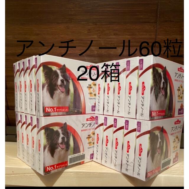犬用アンチノール60粒入り新品未開封20箱-