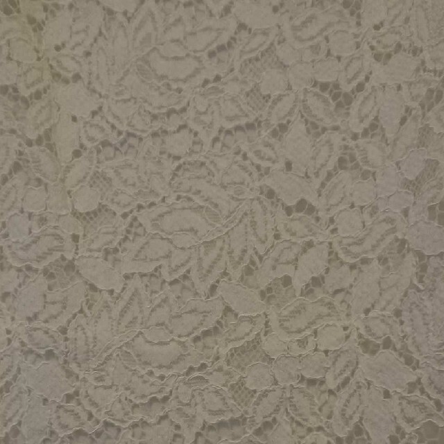 J.PRESS LADIES - Jプレス レースブラウス 白 Lサイズ 未使用 J.PRESS LADIES - Jプレス レースブラウス 白 Lサイズ 未使用