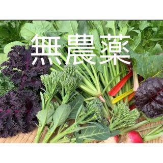 無農薬栽培野菜、ネコポス満杯詰め(野菜)