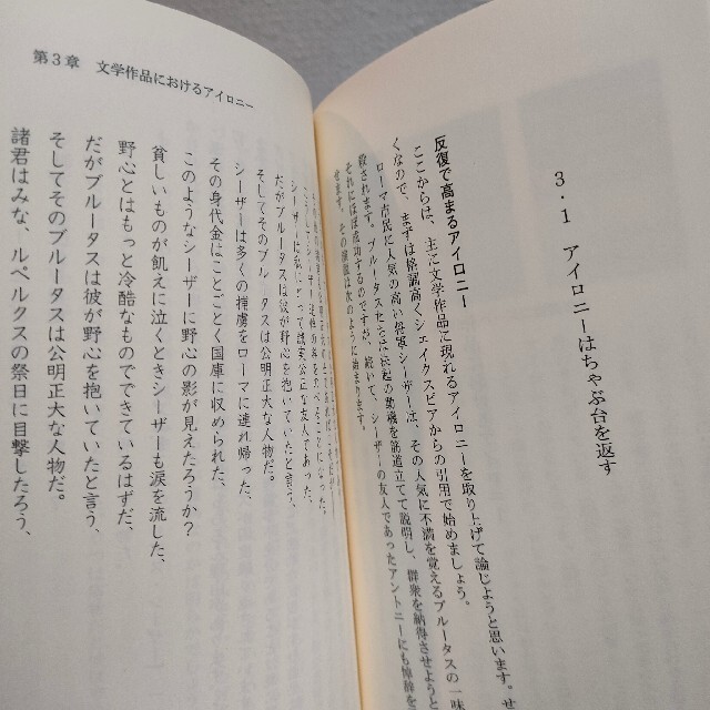 光文社(コウブンシャ)の 『 アイロニーはなぜ伝わるのか? 』★ 文学博士 木原善彦 / 言語学 表現 エンタメ/ホビーの本(ノンフィクション/教養)の商品写真